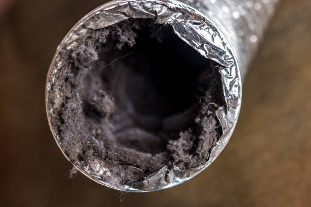 Best Air Duct Cleaning Near Me  in Westway, TX